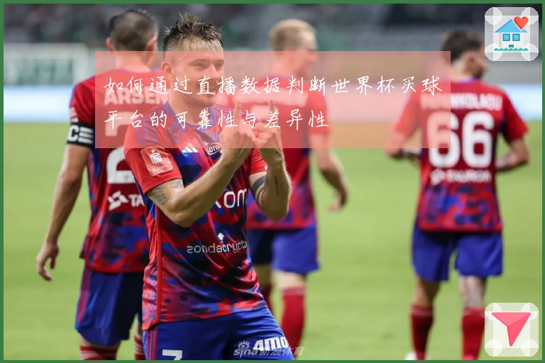 如何通过直播数据判断世界杯买球平台的可靠性与差异性