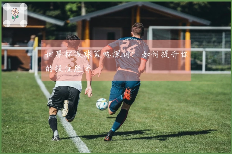 世界杯滚球策略探讨：如何提升你的投注胜率