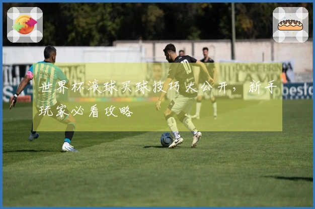 世界杯滚球买球技巧大公开，新手玩家必看攻略