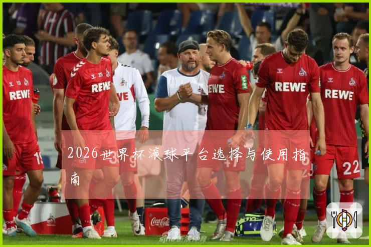 2026世界杯滚球平台选择与使用指南
