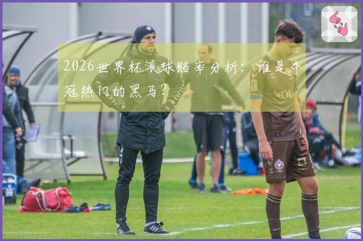 2026世界杯滚球赔率分析：谁是夺冠热门的黑马？