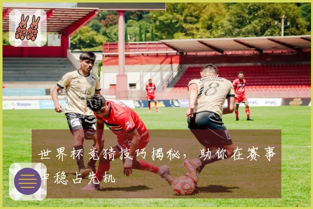 世界杯竞猜技巧揭秘，助你在赛事中稳占先机