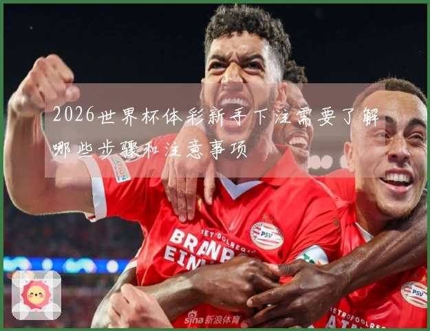 2026世界杯体彩新手下注需要了解哪些步骤和注意事项