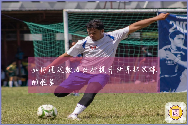 如何通过数据分析提升世界杯买球的胜算