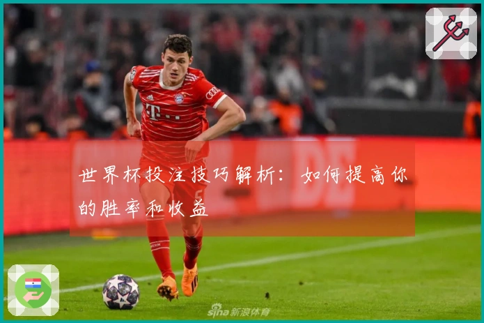 世界杯投注技巧解析：如何提高你的胜率和收益