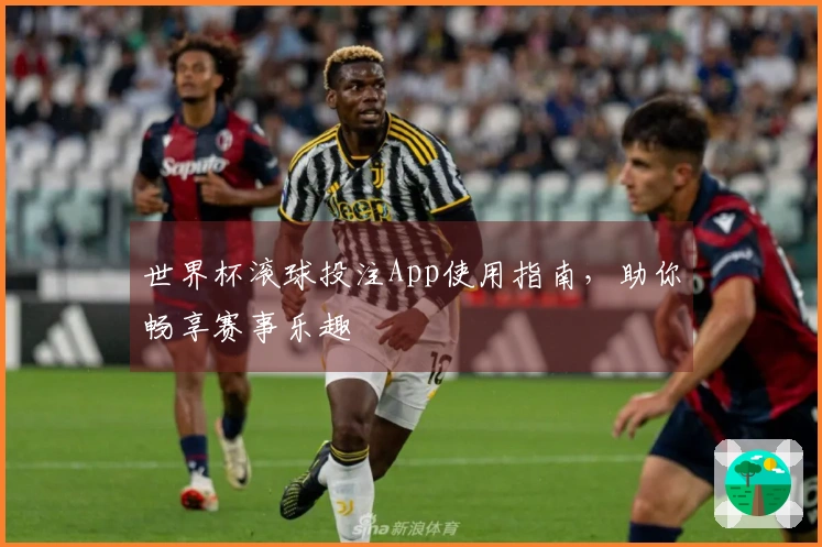 世界杯滚球投注App使用指南，助你畅享赛事乐趣