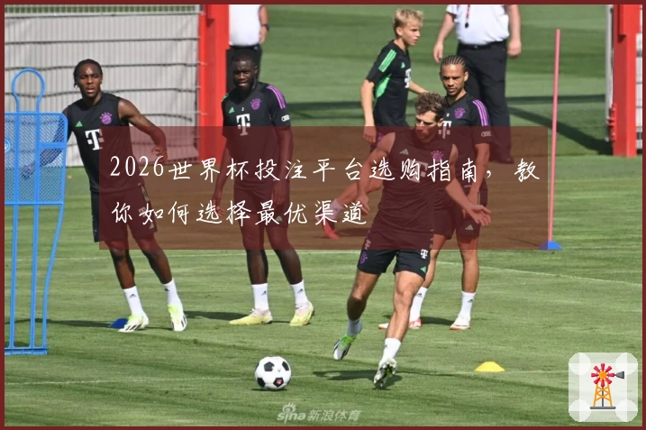 2026世界杯投注平台选购指南，教你如何选择最优渠道