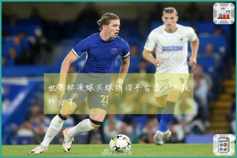 世界杯滚球买球热门平台盘点及技巧分享