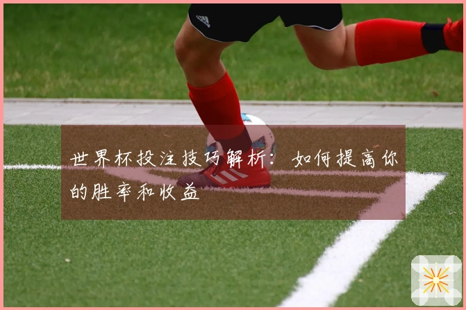世界杯投注技巧解析:如何提高你的胜率和收益