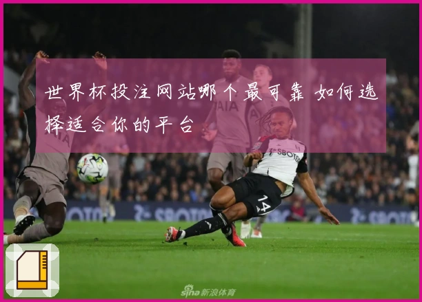 世界杯投注网站哪个最可靠 如何选择适合你的平台