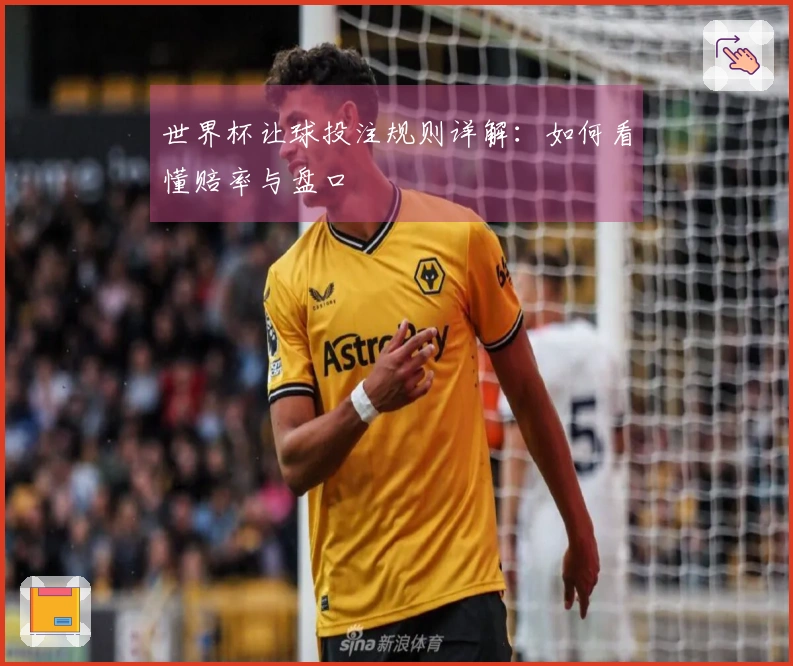 世界杯让球投注规则详解：如何看懂赔率与盘口