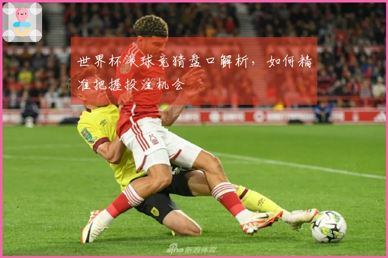 世界杯滚球竞猜盘口解析，如何精准把握投注机会