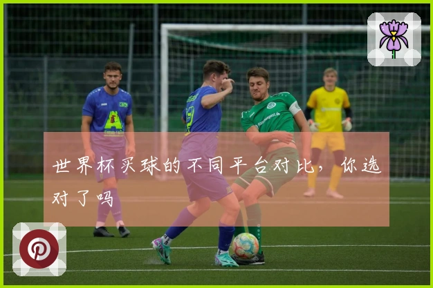 世界杯买球的不同平台对比，你选对了吗