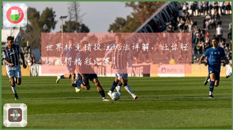 世界杯竞猜投注玩法详解，让你轻松赢得精彩比赛！