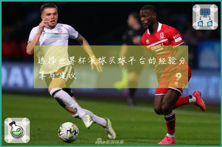 选择世界杯滚球买球平台的经验分享与建议