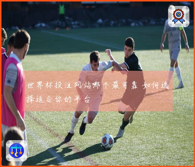 世界杯投注网站哪个最可靠 如何选择适合你的平台
