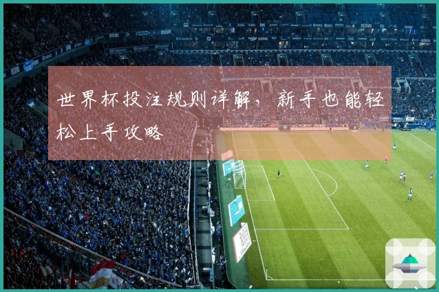 世界杯投注规则详解，新手也能轻松上手攻略