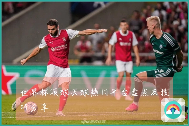 世界杯滚球买球热门平台盘点及技巧分享